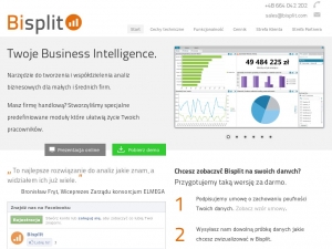 Business intelligence - indywidualny kokpit menadżerski.